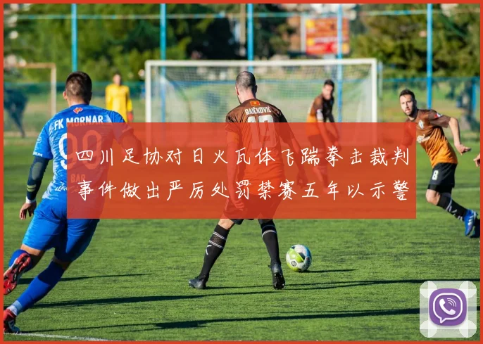 四川足协对日火瓦体飞踹拳击裁判事件做出严厉处罚禁赛五年以示警戒