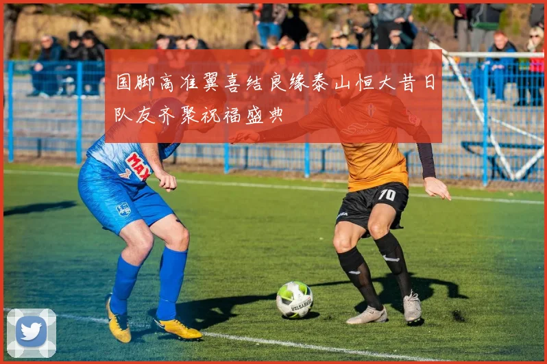 国脚高准翼喜结良缘泰山恒大昔日队友齐聚祝福盛典