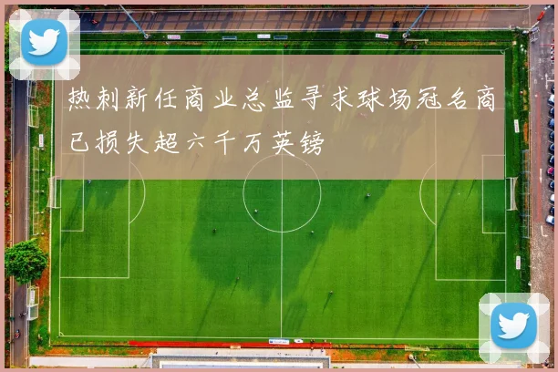 热刺新任商业总监寻求球场冠名商已损失超六千万英镑