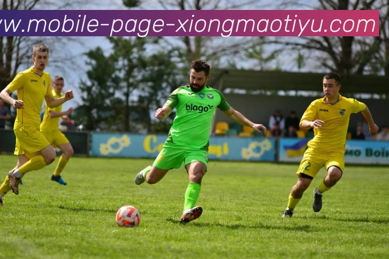 熊猫体育平台生态图