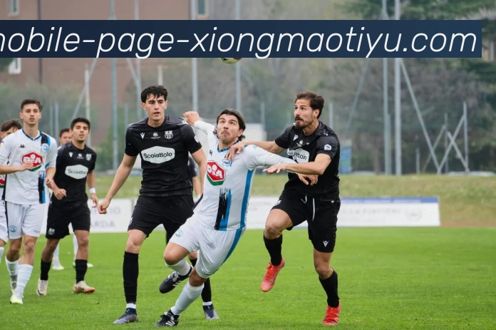 熊猫体育APP 封面图