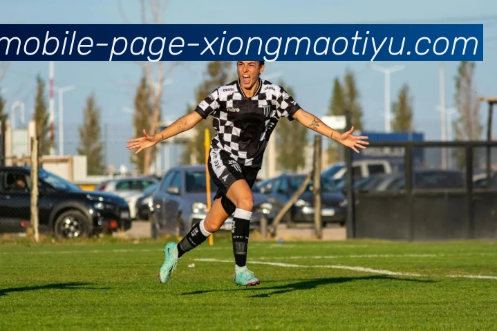 数据防护可视化